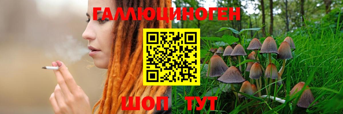 Галлюциногенные грибы GOLDEN TEACHER  Вход с VPN  где купить наркоту  Кохма 